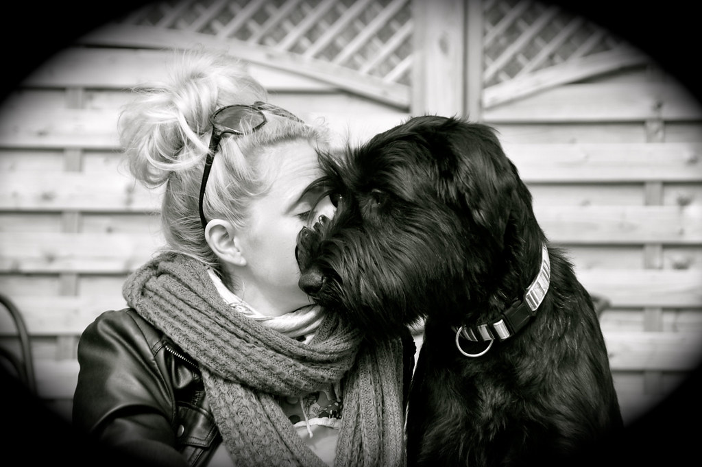 Kuscheln mit Hund TTLine und NOVASOL Flickr