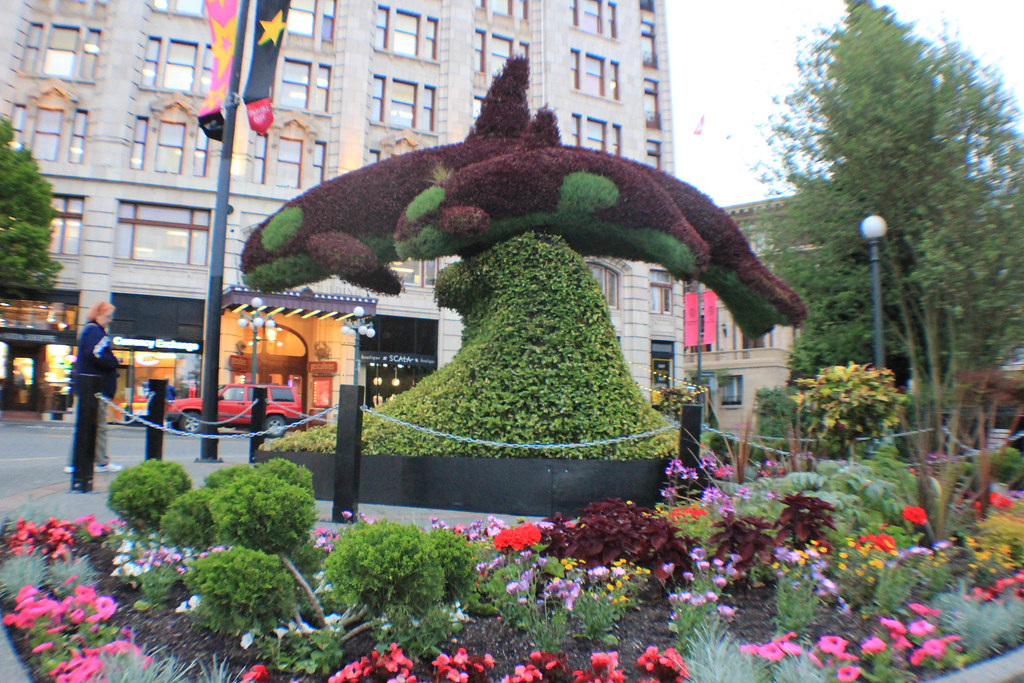 Victoria Flowers and QuasiTopiary matted69 Flickr