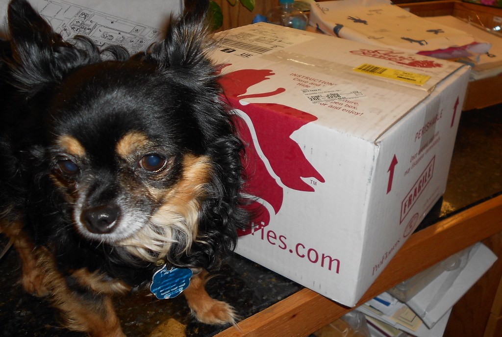 Itzl and Berry Delivery nodigio Flickr