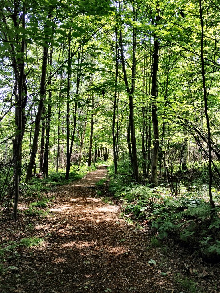 Elevation of Four Mile Lake Rd, North Bay, ON P1B 8G2, Canada