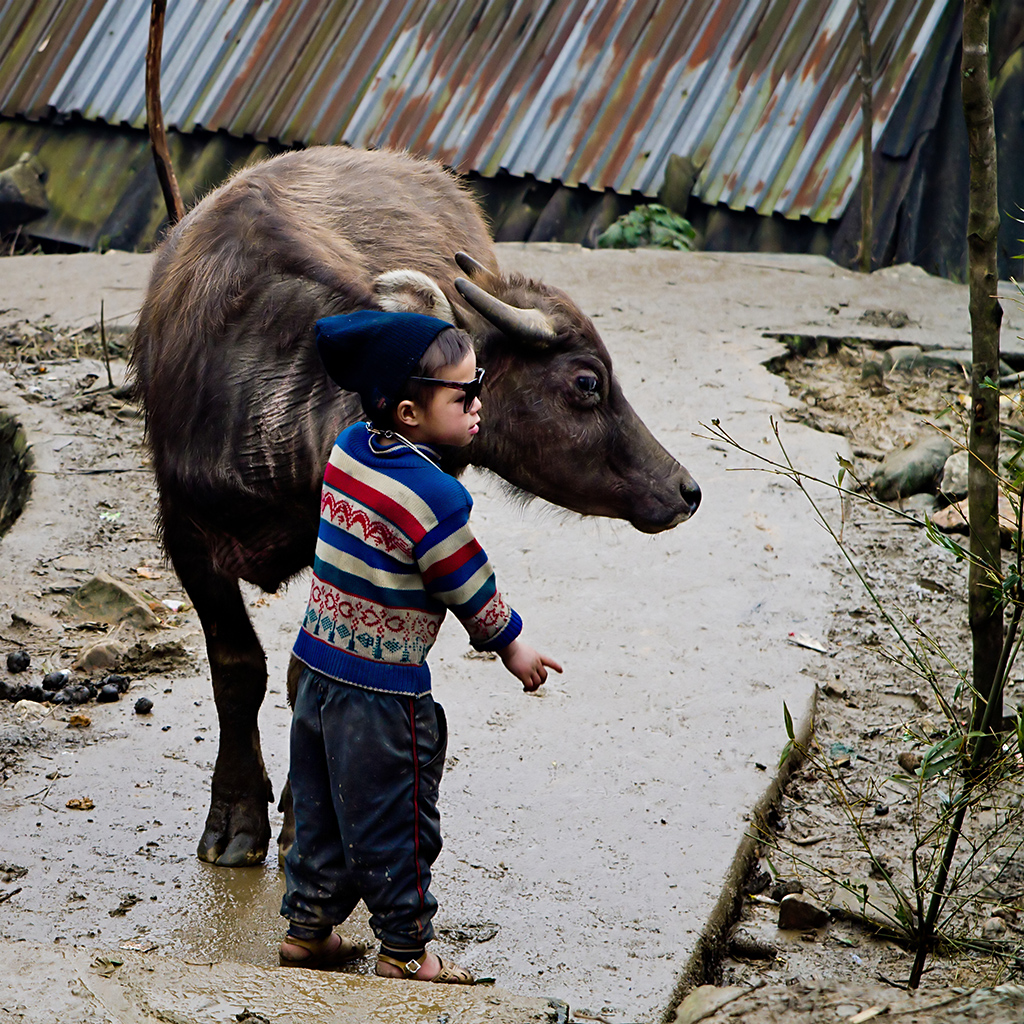 Hmong boy and water buffalo, Cat Cat, Vietnam Guilhem DE COOMAN Flickr