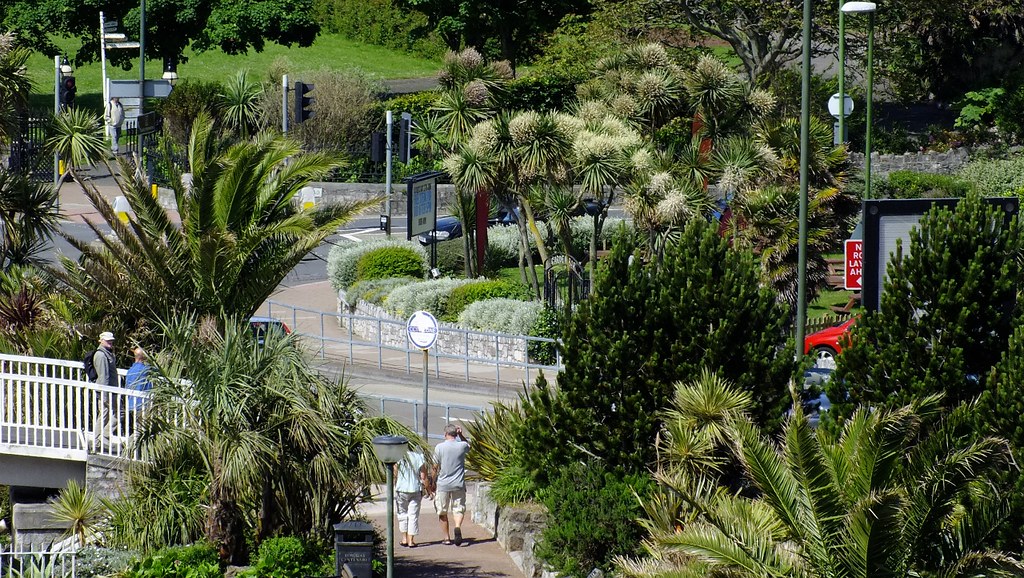 Seafront Belgrave Road Torquay Photographs of palm trees o… Flickr