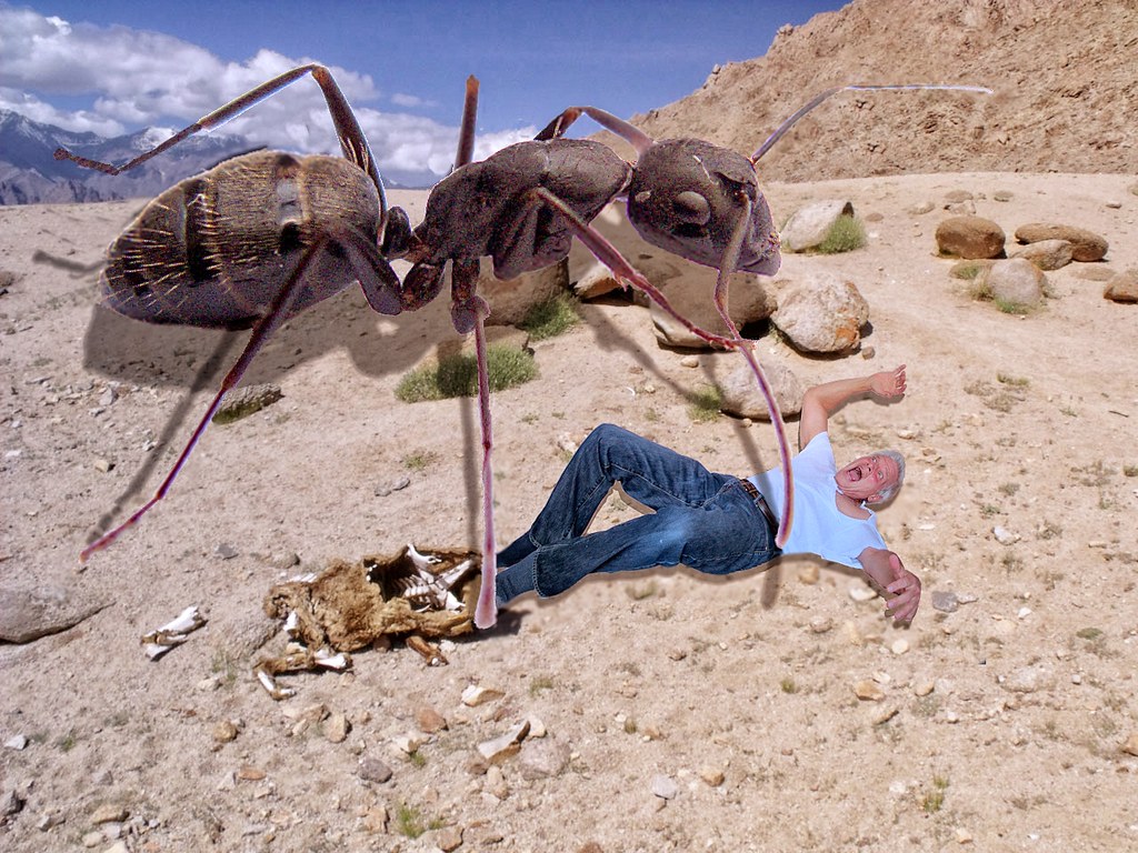 THEM! Radioactive ants mutate into giant maneating