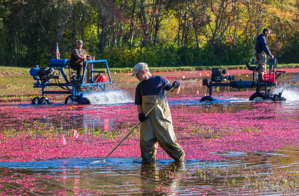 marstons_mills0392 MARSTONS MILLS October 14, 2015 Christ… Flickr