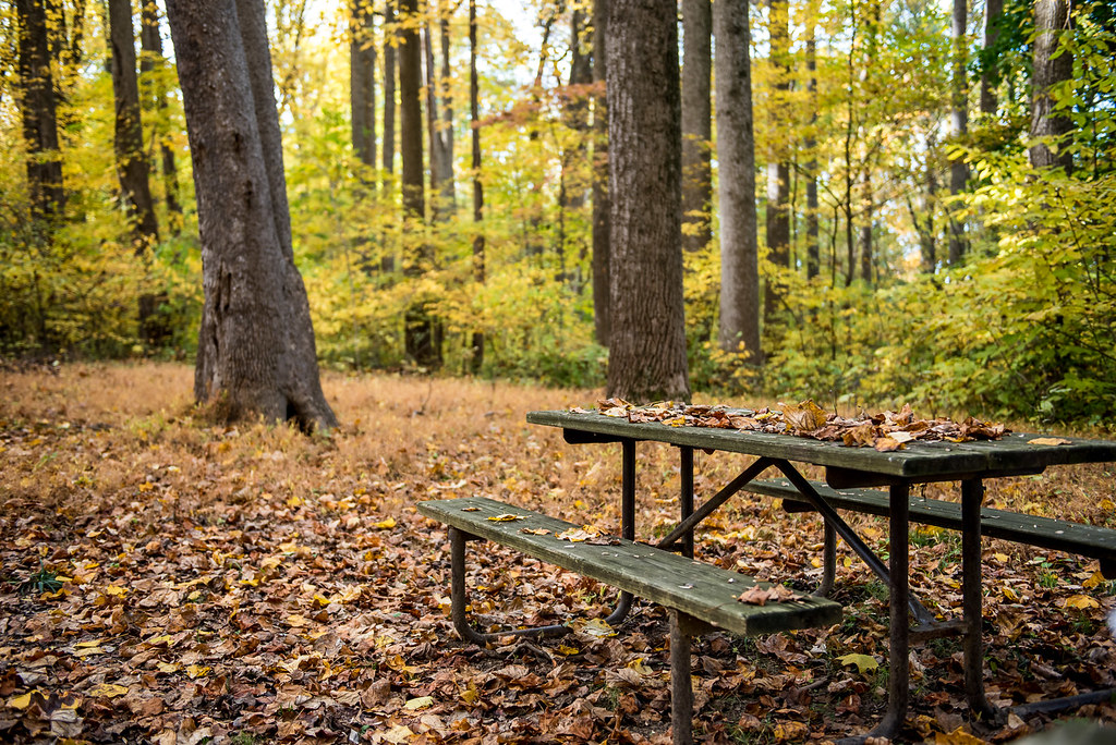 Turkey Run Park Jason Colston Flickr