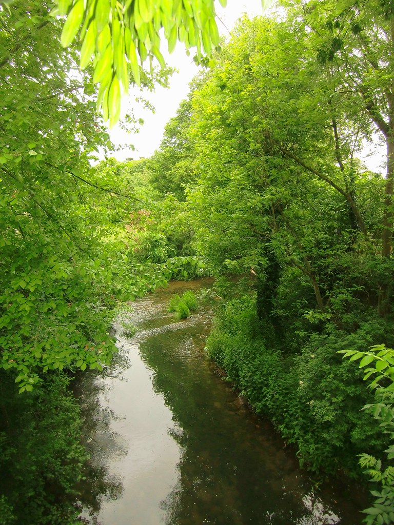 Westmill, Hertfordshire. The River Rib. Copyright © Ron Bo… Flickr
