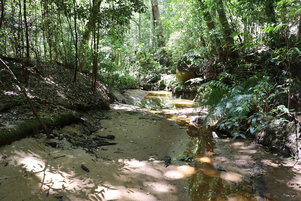 Smiths Creek Smiths Creek Poyt Flickr