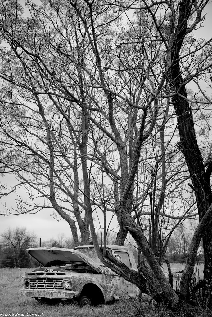 Elevation of Gravel Hill Rd, Romance, AR, USA Topographic Map