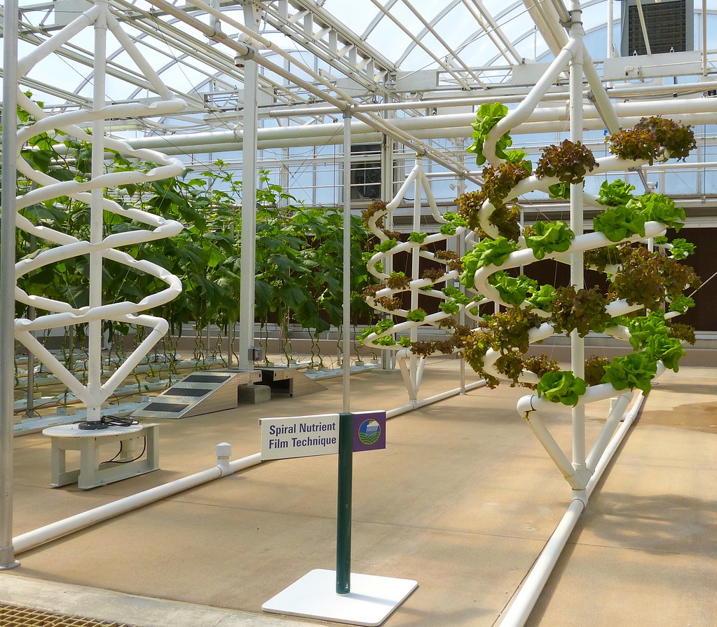 Hydroponics (spiral NFT system) Inside the "Living with