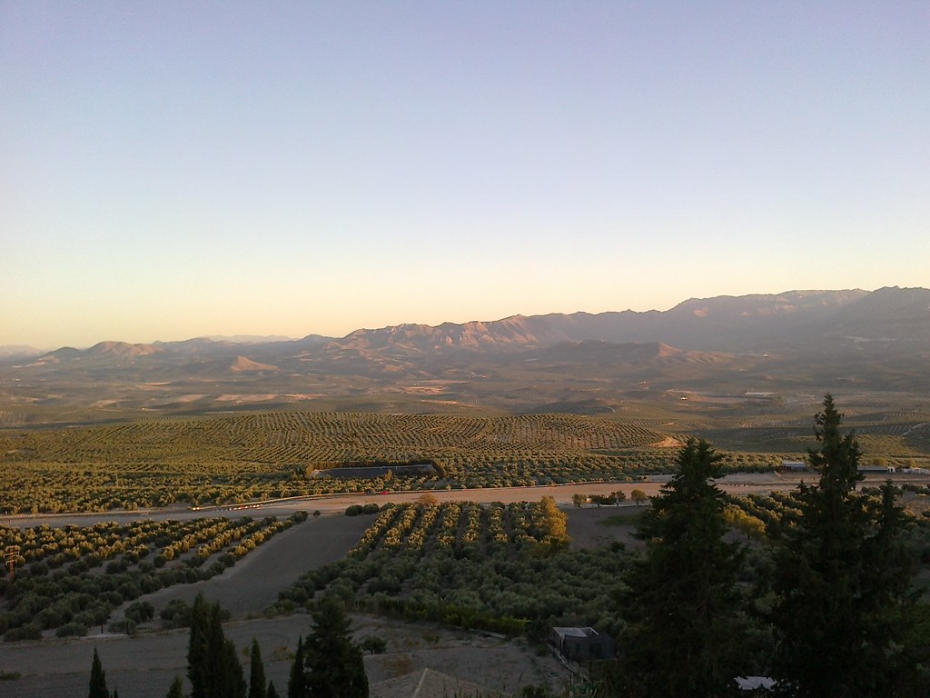 Campos de Baeza baeza Rosario Segura Flickr