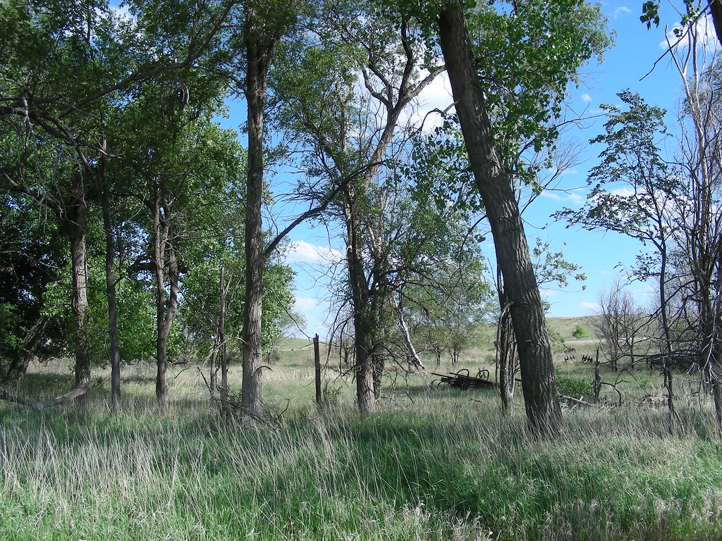 Family farm NE paws22 Flickr