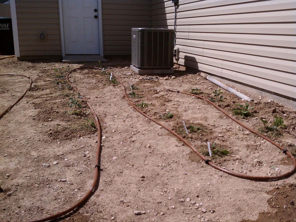 Drip Line In The Garden Christy Flickr