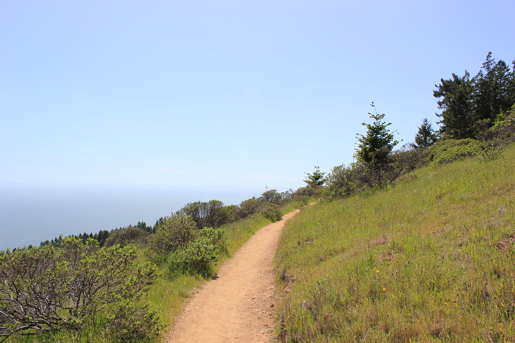 Dipsea Trail Eugene Kim Flickr