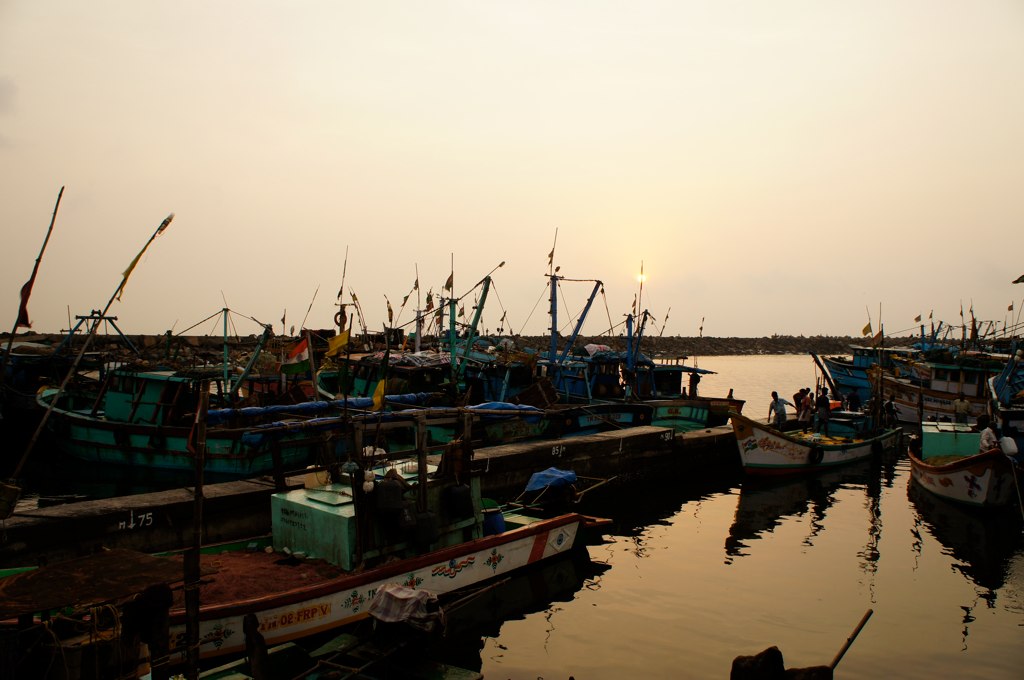 Harbour View at Golden Hour Royapuram Fishing Harbour (Che… Flickr