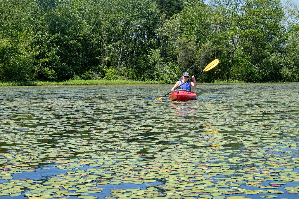 Tucker Pond1 SkiHound2 Flickr