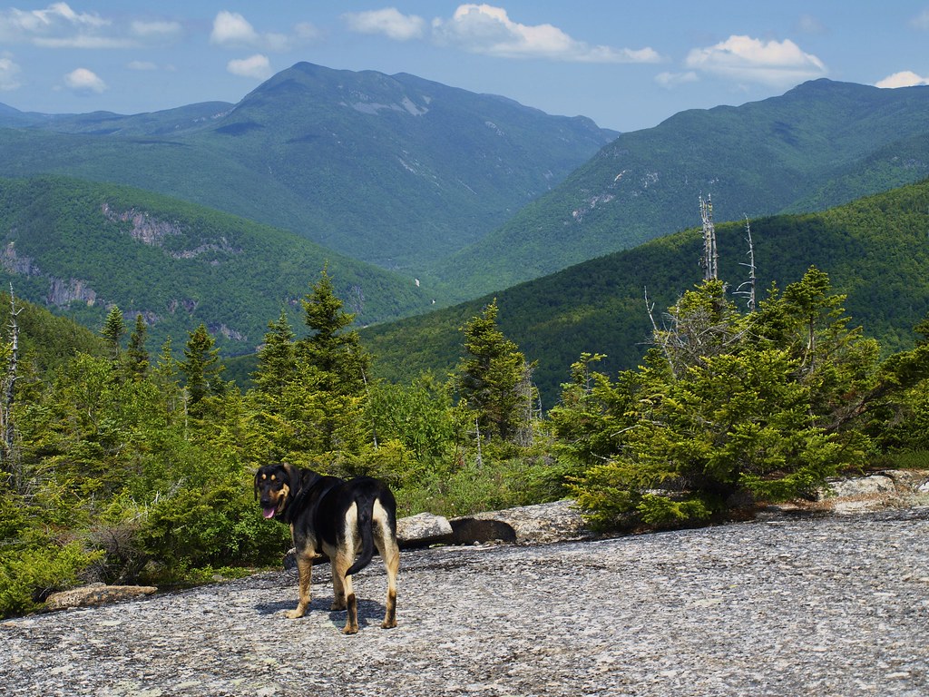 061712 Stairs Mtn., Mt. Resolution, Mt. Crawford 13 Flickr