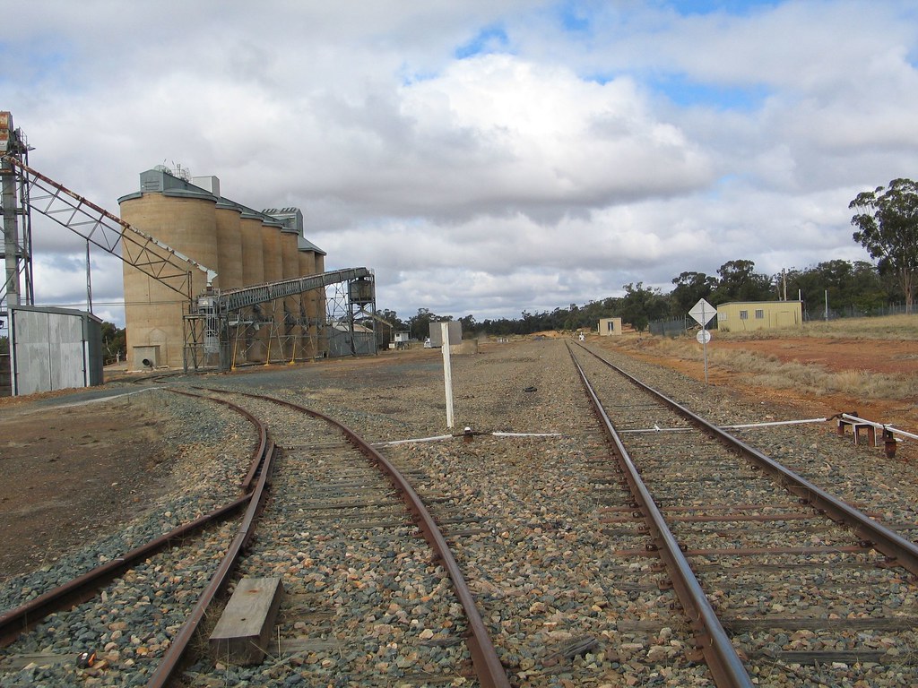 Barmedman01 5/2010 Norm Bray Flickr