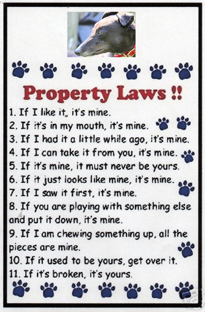 Dog Laws1 John Flickr