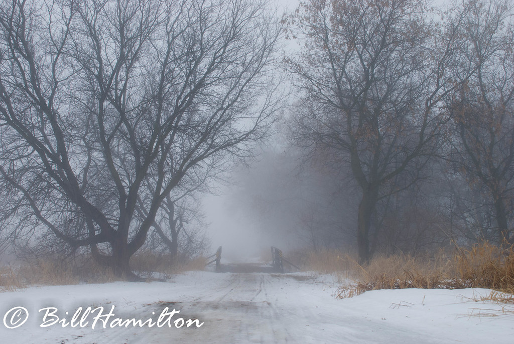 Fog Trail Snowmobile trail in winter fog New Glarus, WI Bill