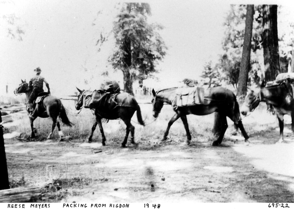 Oakridge Oregon Packing From Rigdon Ranger Station. curtis Irish