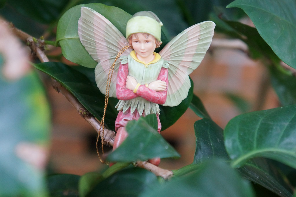 Fairy Ann Arbor has this thing about Fairy doors and fairy… Flickr