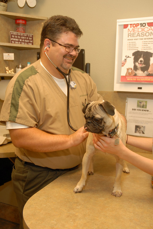 Exam Arizona Pet Vet Flickr