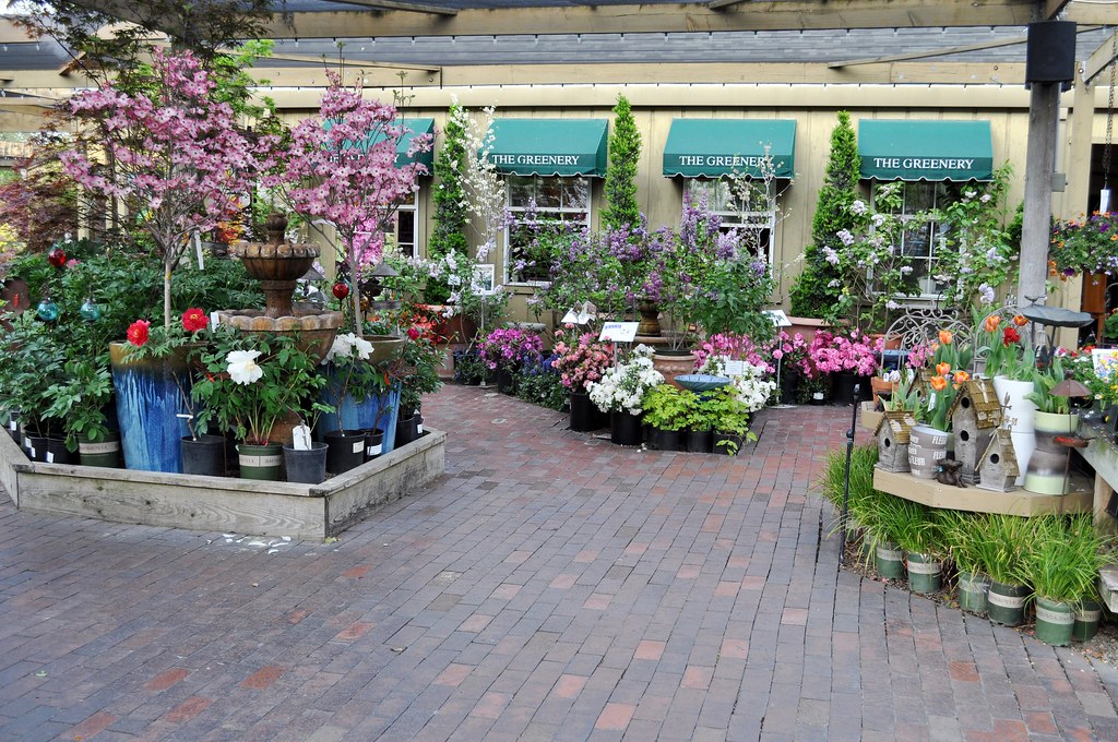In the Nursery April 2012 The Greenery Nursery and Garden Shop Flickr