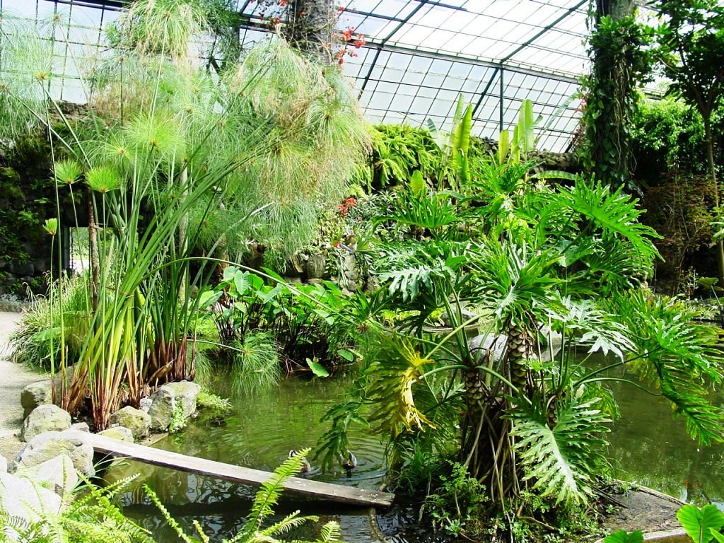 Greenhouse in Lisbon Portugal © This photograph is a cop… Flickr