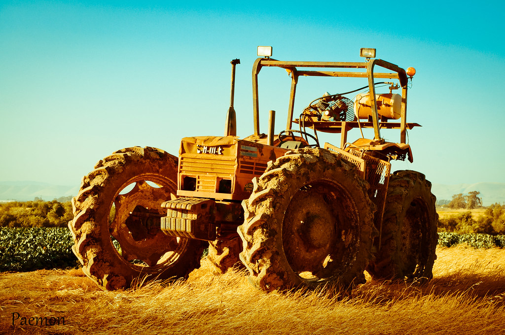 Vintage Casmalia, Ca Paemon Flickr