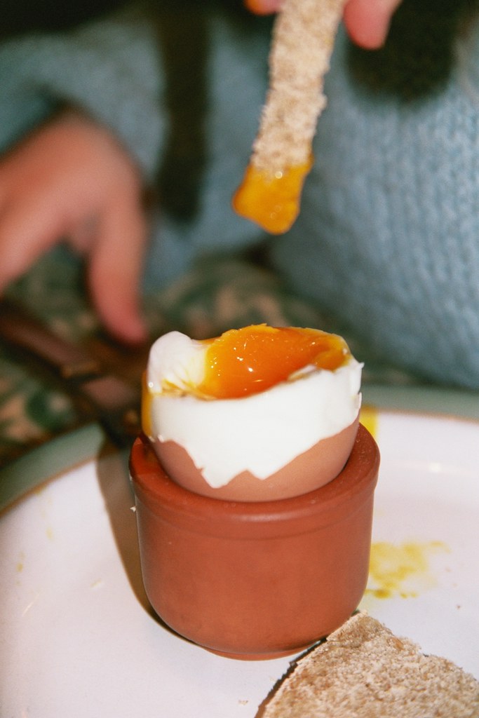 soldier Eggs from Grandpa's hens have the yellowest yolks … Flickr