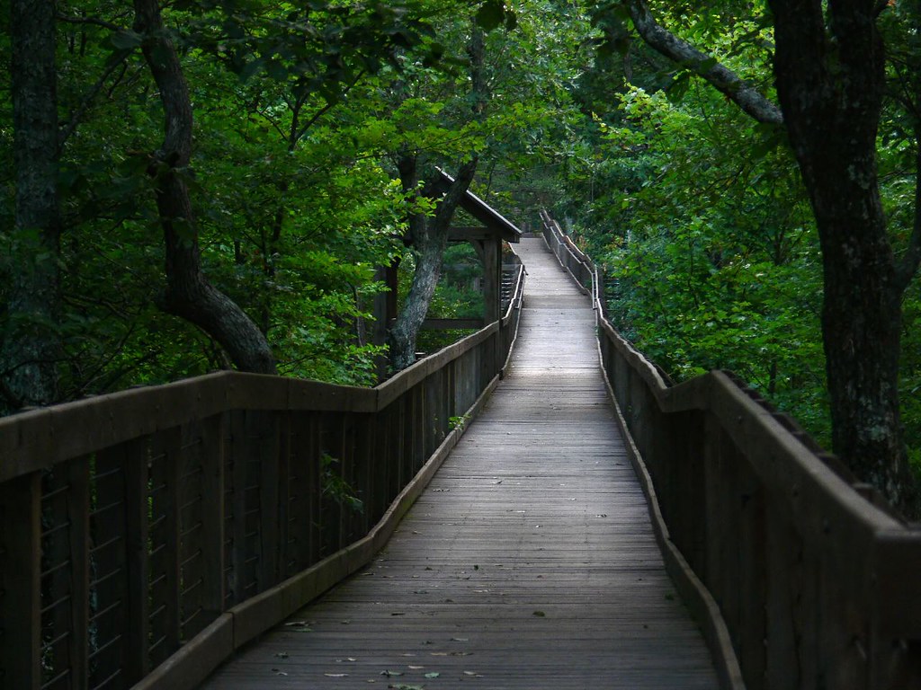 bald rock boardwalk Taken at Cheaha State Park in Alabama … Flickr