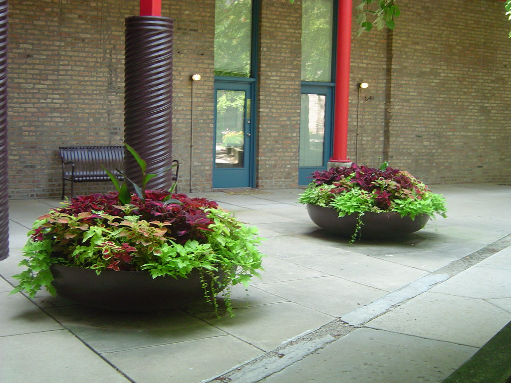 Cobbler Square Apartments 2004 Summer Flowers (7) lcmcolor Flickr