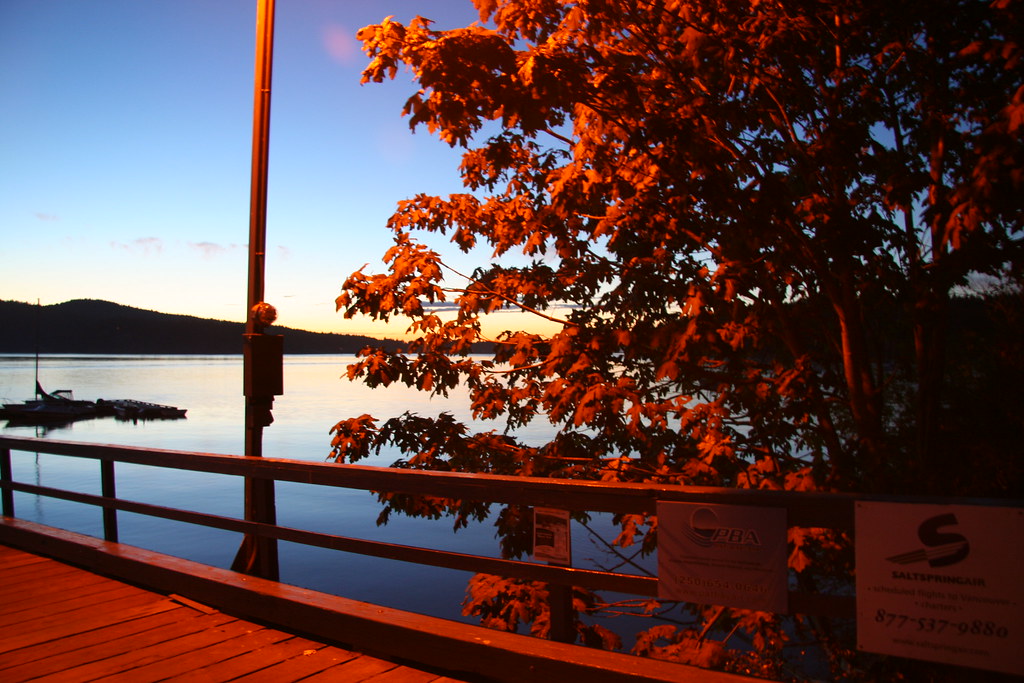 Artificial Artificial light vs natural light. Taz Flickr