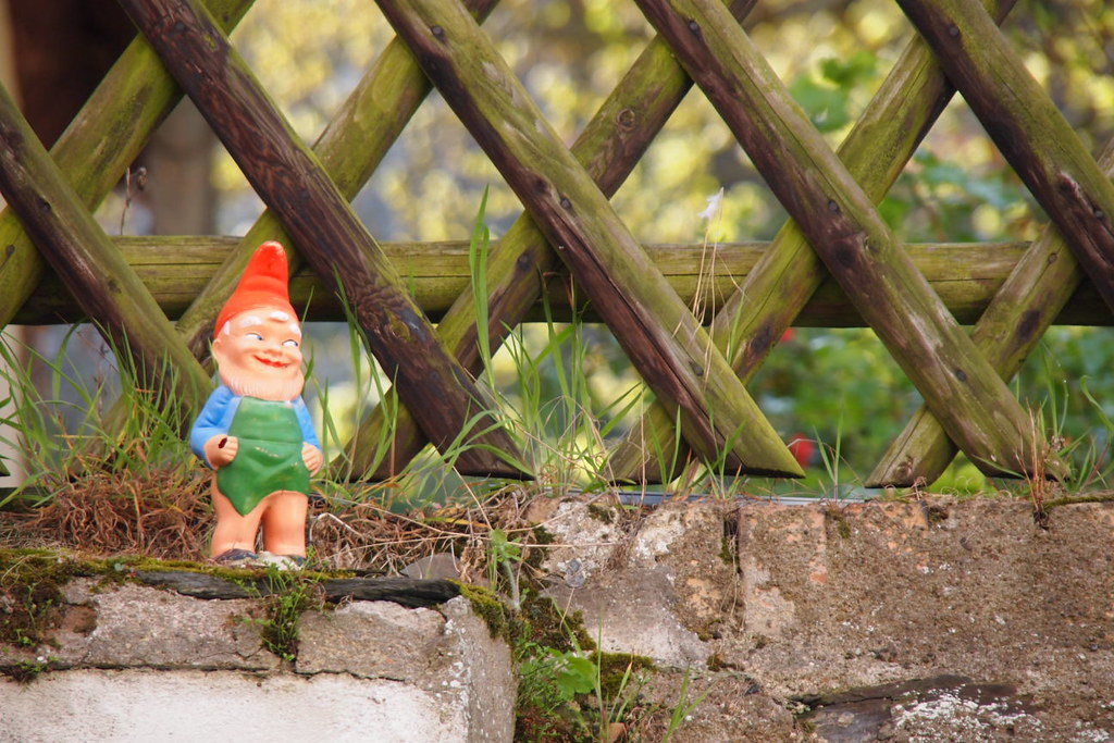 Garden gnome OLYMPUS DIGITAL CAMERA Spidysg Flickr