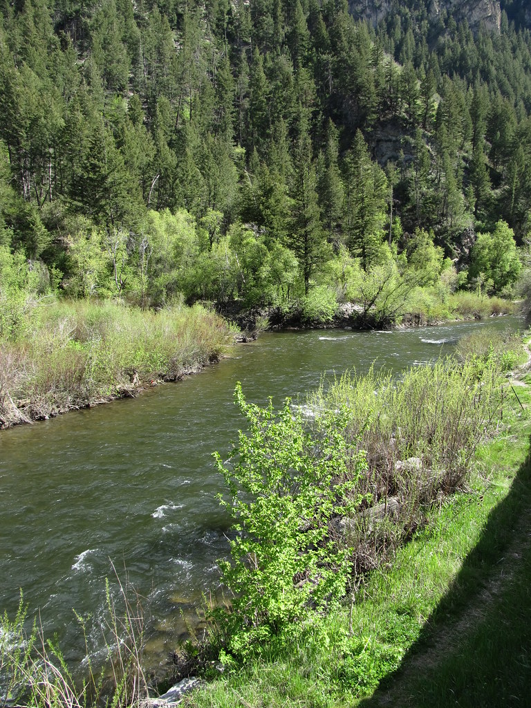 Provo River, Provo Canyon, Utah Provo Canyon is a canyon l… Flickr