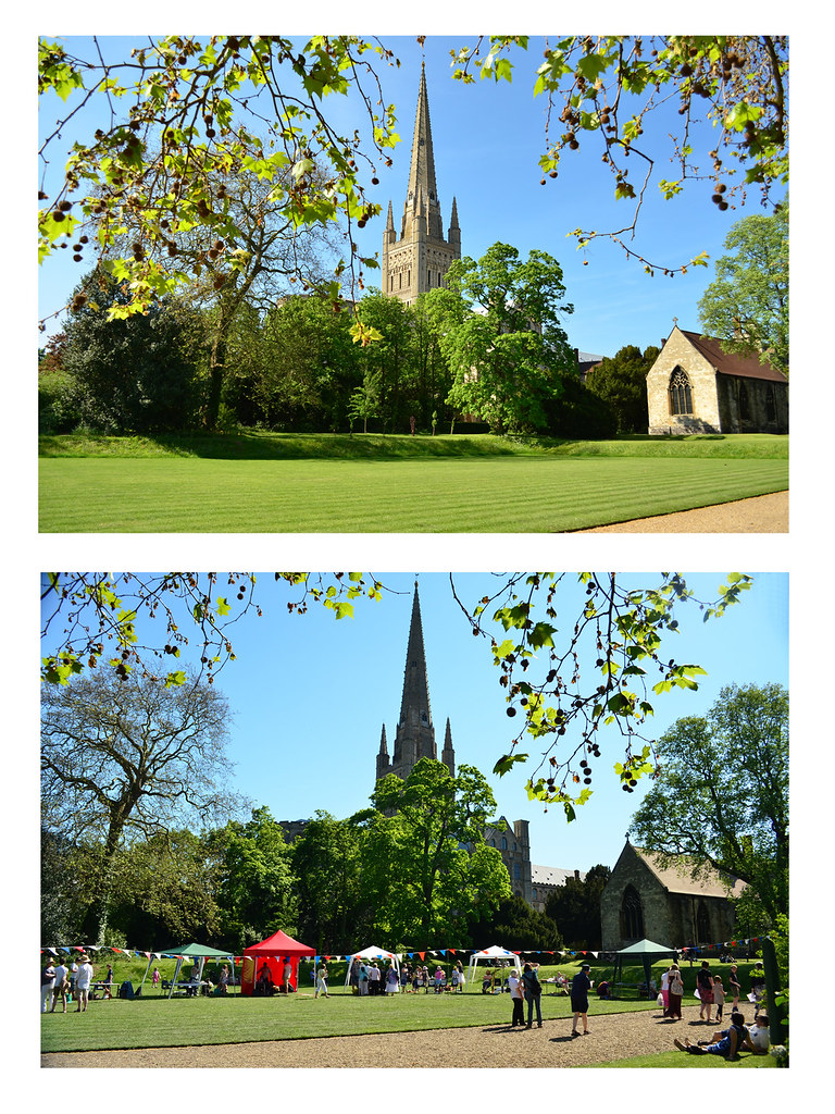 Week 22 Garden 1000 & 1545 A diptych from me to… Flickr