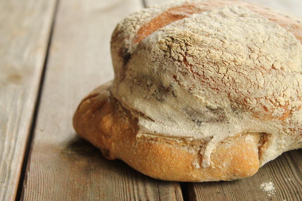 First loaf of bread from the ad hoc oven "Why has the brea… Flickr