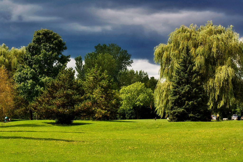 Parc in Beaconfield Beaconsfield, Montreal, Quebec Artur Staszewski