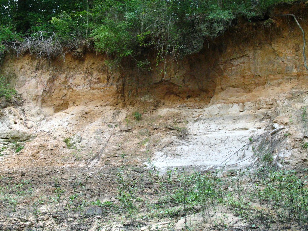 Kayaking Bundicks Bayou with Jim and Christian Bel Flickr
