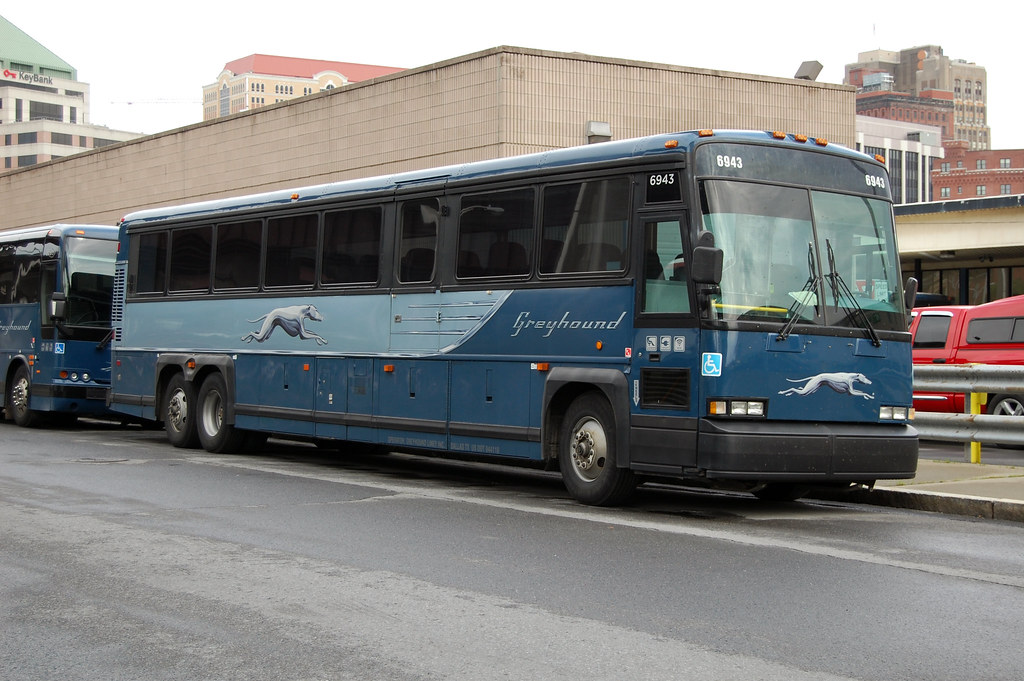 Greyhound 6943 Albany mbernero Flickr