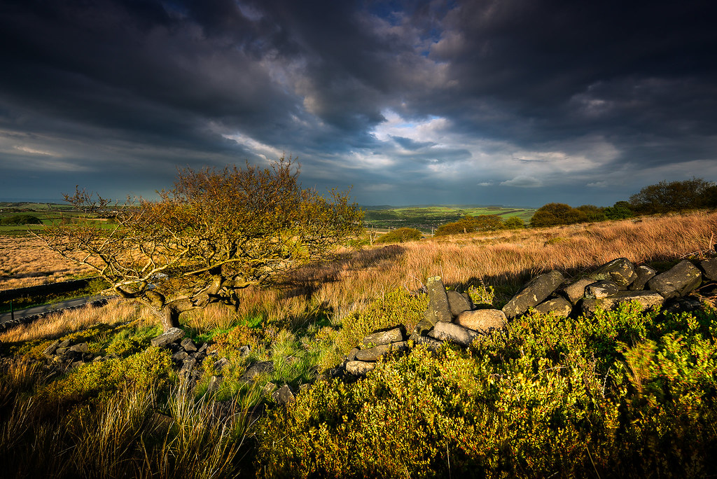 Deer hill Storm There was some quality lighting conditions… Flickr