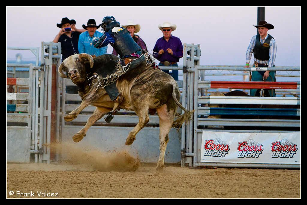 California Smack Down Bull Riding The first California Sma… Flickr