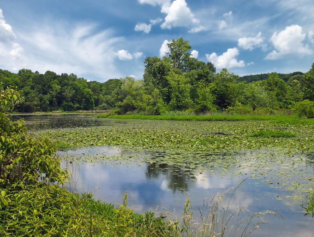 Columbia Lake (Revisited) Columbia Wildlife Management Are… Flickr