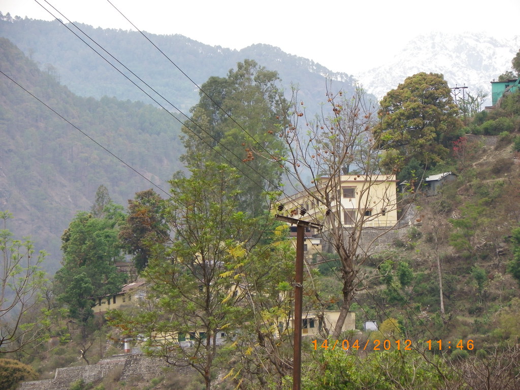 IMGP2448 | Lax5 | Flickr