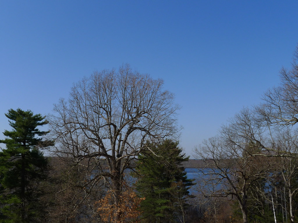 20120318_1828 Flints Pond DeCordova Museum Alvin Kho Flickr