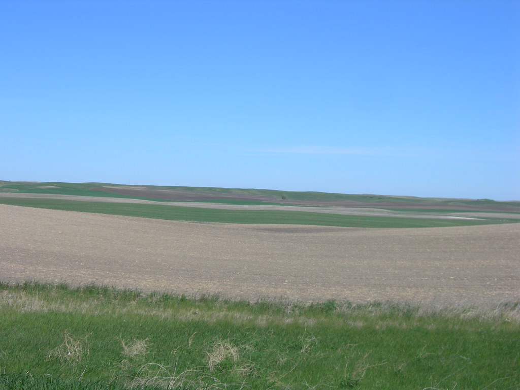 North Dakota Farm Land Along LaMoure County Road 35. Flickr