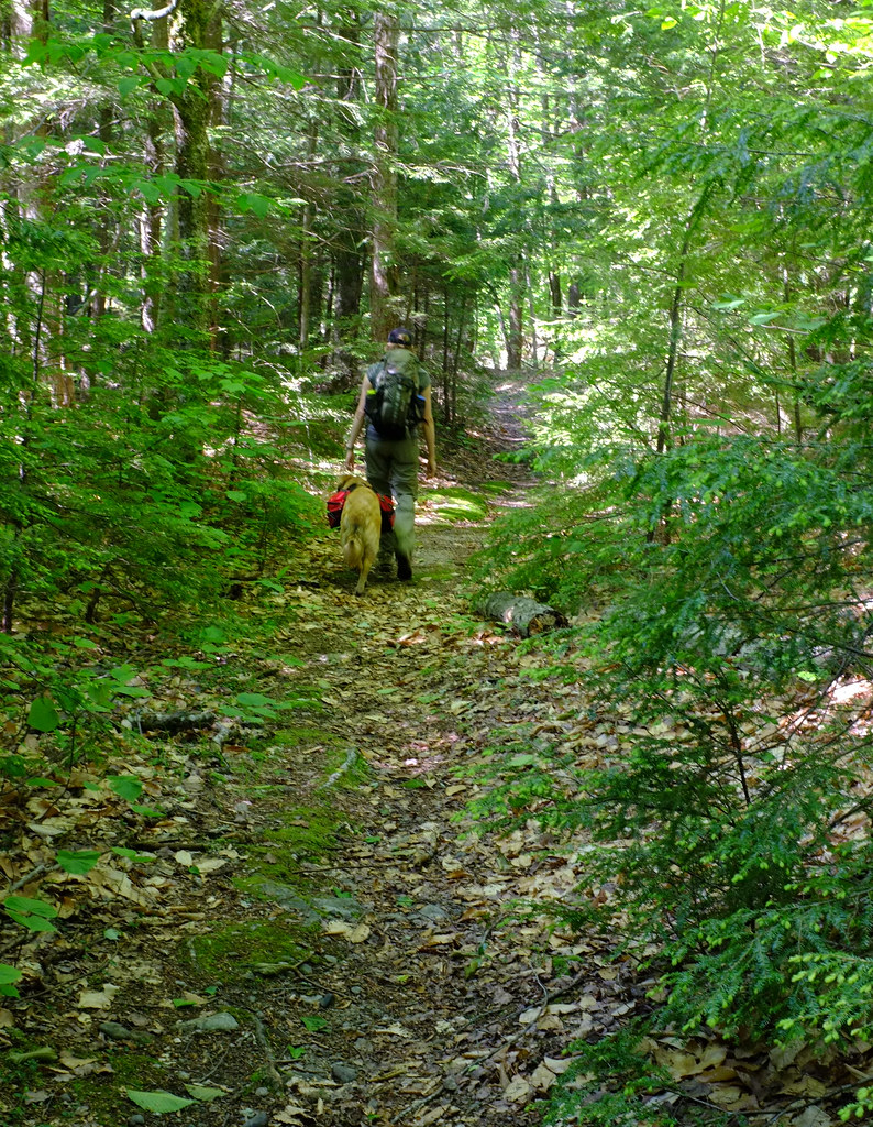 Flat Mountain Pond20 Kate Lockhart Flickr