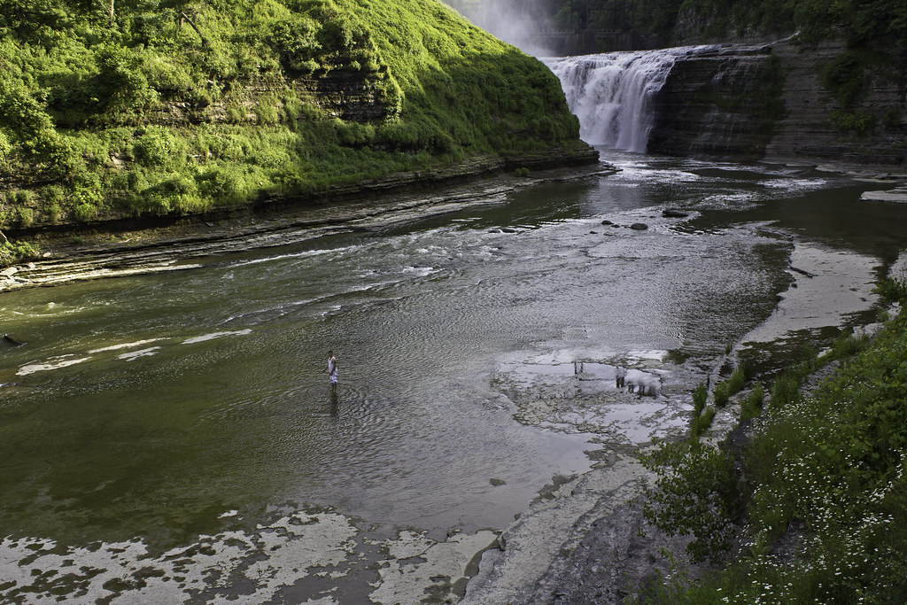 Elevation of Leicester, NY, USA Topographic Map Altitude Map