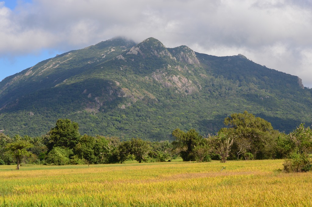 Ritigala Ritigala is a range of mountains which is near