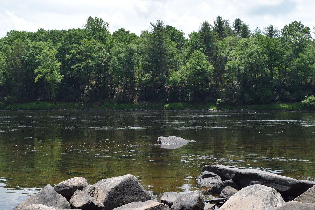 Delaware River Barryville, NY Gina Squillante Flickr